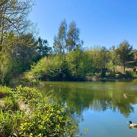 Les Restanques 30 Chenes 펜션 그리모