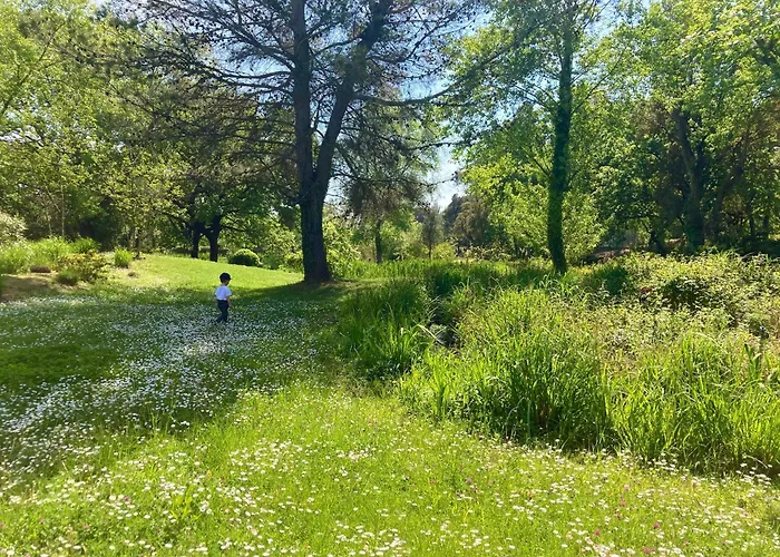 Les Restanques 30 Chenes Semesterbostad