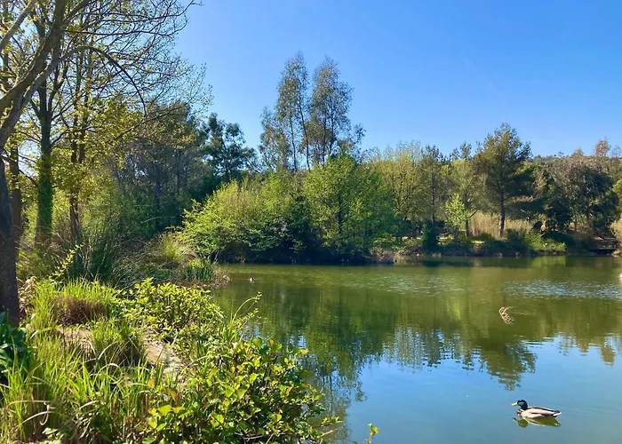 Les Restanques 30 Chenes Nyaraló Grimaud